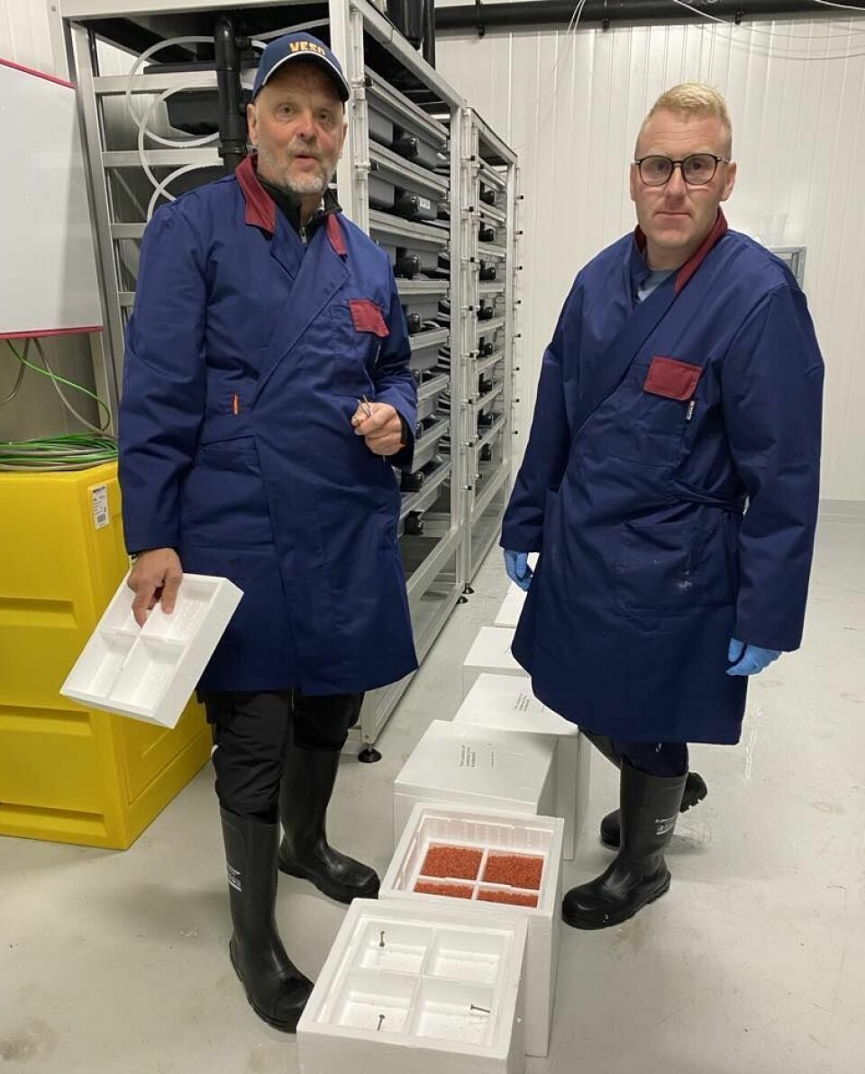 Thor Salmon has received its first batch of eggs from Benchmark Genetics.