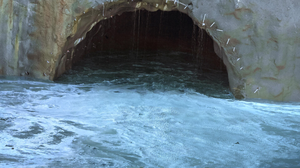 The intake water for Andfjord Salmon is taken from deep under the surface of the sea. With new regulations, all new facilities must now disinfect intake water – including from such sources.