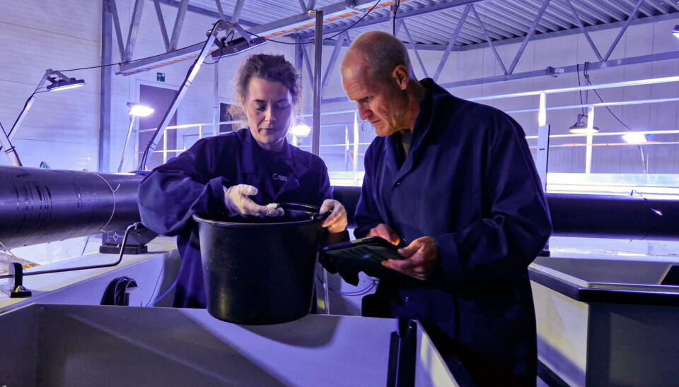 Ragnhild Hanche-Olsen and Erik Sterud are fish health specialists at Pure Salmon Technology. The company was a nominee for the Fish Welfare Award for its implementation of the FISHWELL standard into its RAS management system.