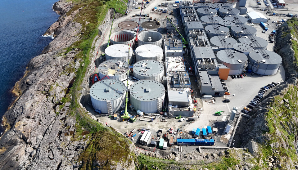 The development of stage 2 at Salmon Evolution's land-based facility on Indre Harøy is well under way.