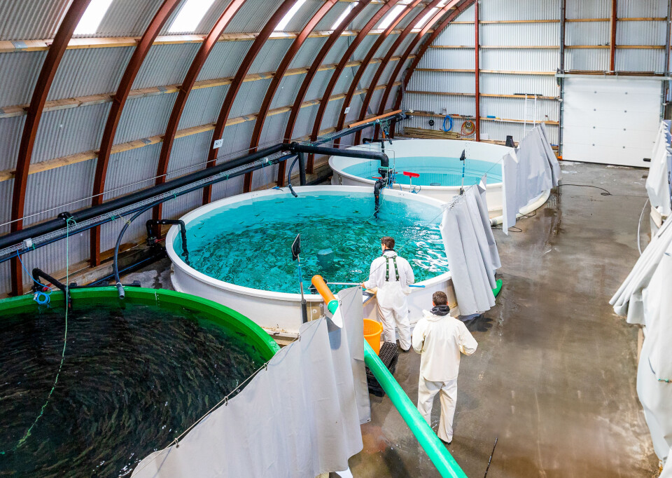 When the new pumps are put into operation, the fry and grow-out sections will receive 25% more water.