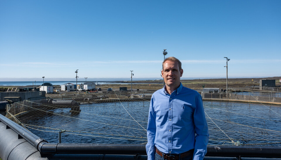 Christo du Plessis, CEO of Matorka, says that 2025 has been a very good year for the company.