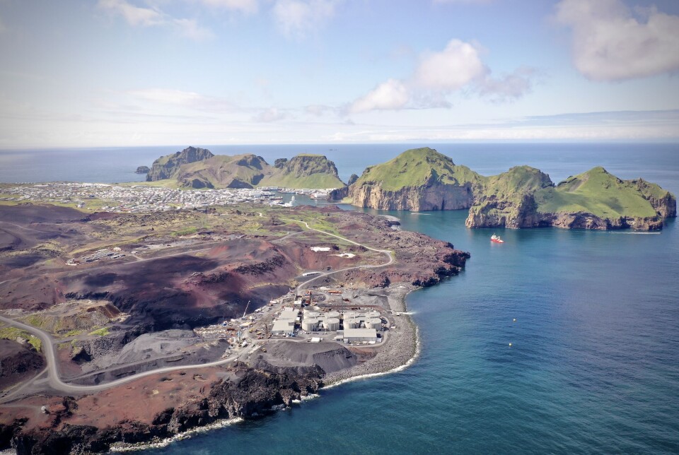 Drone photo of Laxey's grow-out facility in the foreground. The company farms on the island of Heimaey in the Vestmannaeyjar archipelago.