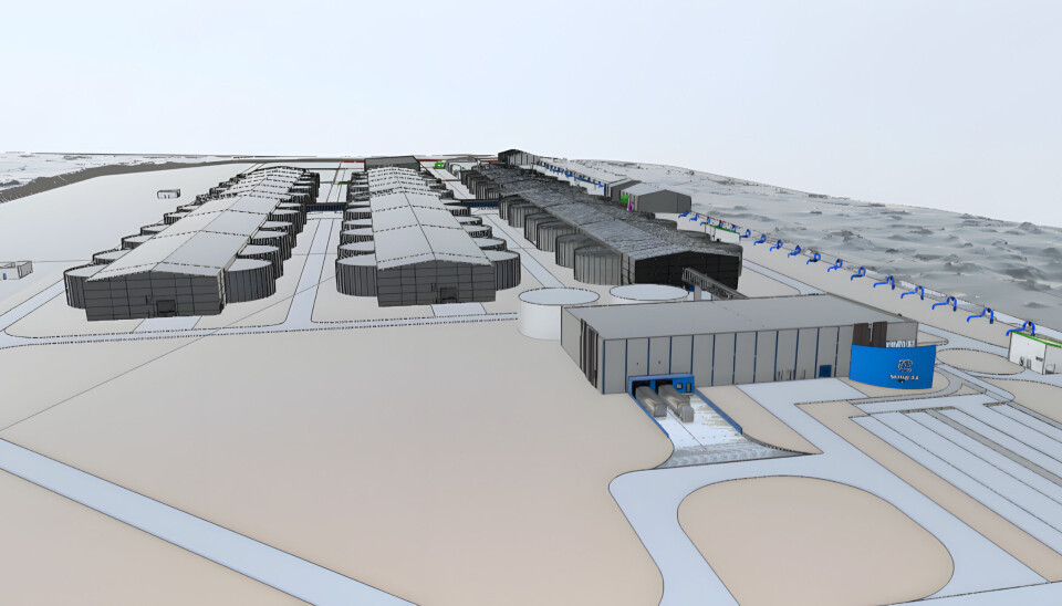 Rendering of the Salmon Garden facility as planned for construction in southwest Iceland. The facility will have an annual capacity of up to 36,000 tonnes of ready-to-slaughter salmon when completed.