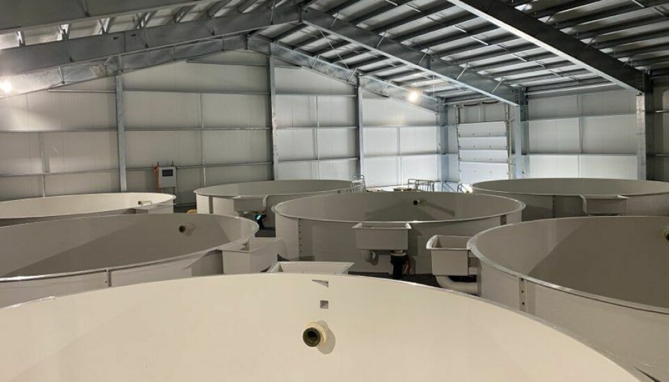 Icelandic farmer Thor Salmon will transfer the first fish to the tanks in the smolt facility within weeks.