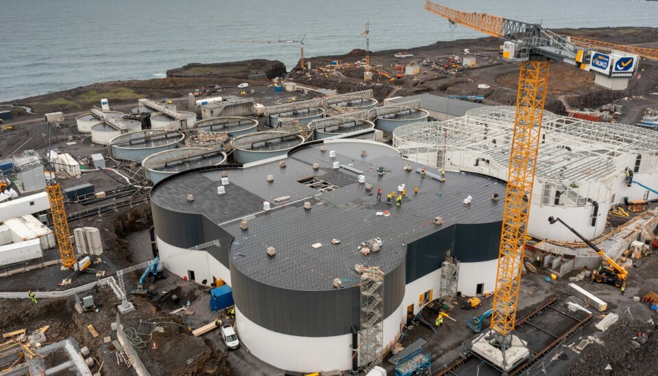 First Water is located in Thorlakshavn on the south coast of Iceland, approximately 45 km from Reykjavík and 94 km from Keflavík International Airport.