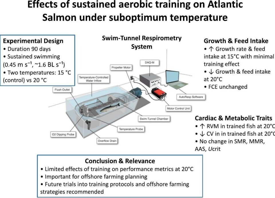 How salmon training is affected by suboptimal temperatures