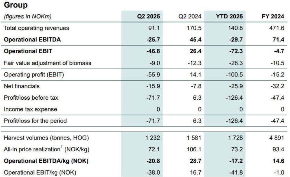 Salmon Evolution made an operating loss in Q2 but is said to be well positioned for the future.