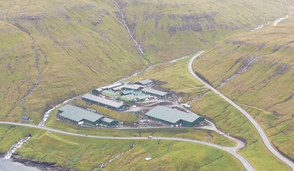 Hiddenfjord's smolt facility at Futakletti, where new RAS halls are now in operation. The starter feeding department will be put into operation in October.