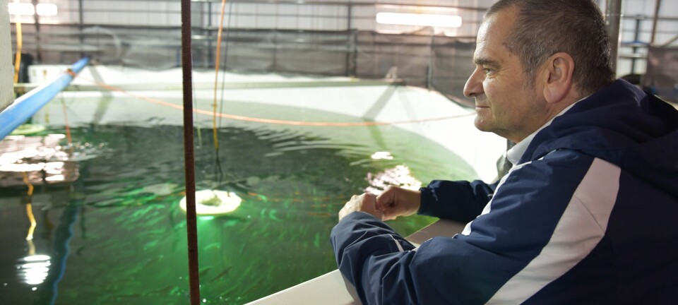 Atlantic Sapphire increased harvest by 22% in Q3