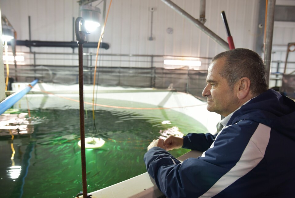 Atlantic Sapphire chief executive Pedro Courard. The company harvested more fish in Q3 than Q2, but achieved a lower price per kilo.