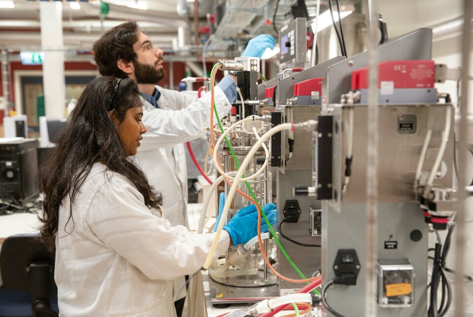 The mycoprotein is produced at Cirkulär's pilot plant in Skåne. Now the production will be scaled up.