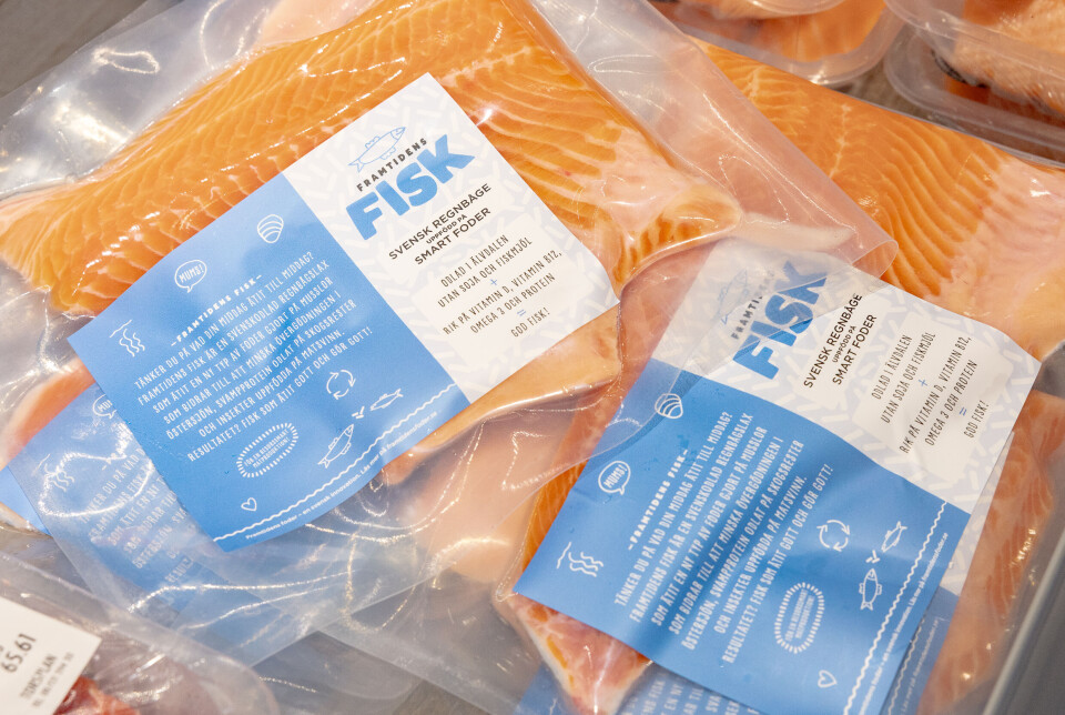 “The fish of the future” made from mycoprotein by Cirkulär is now for sale.