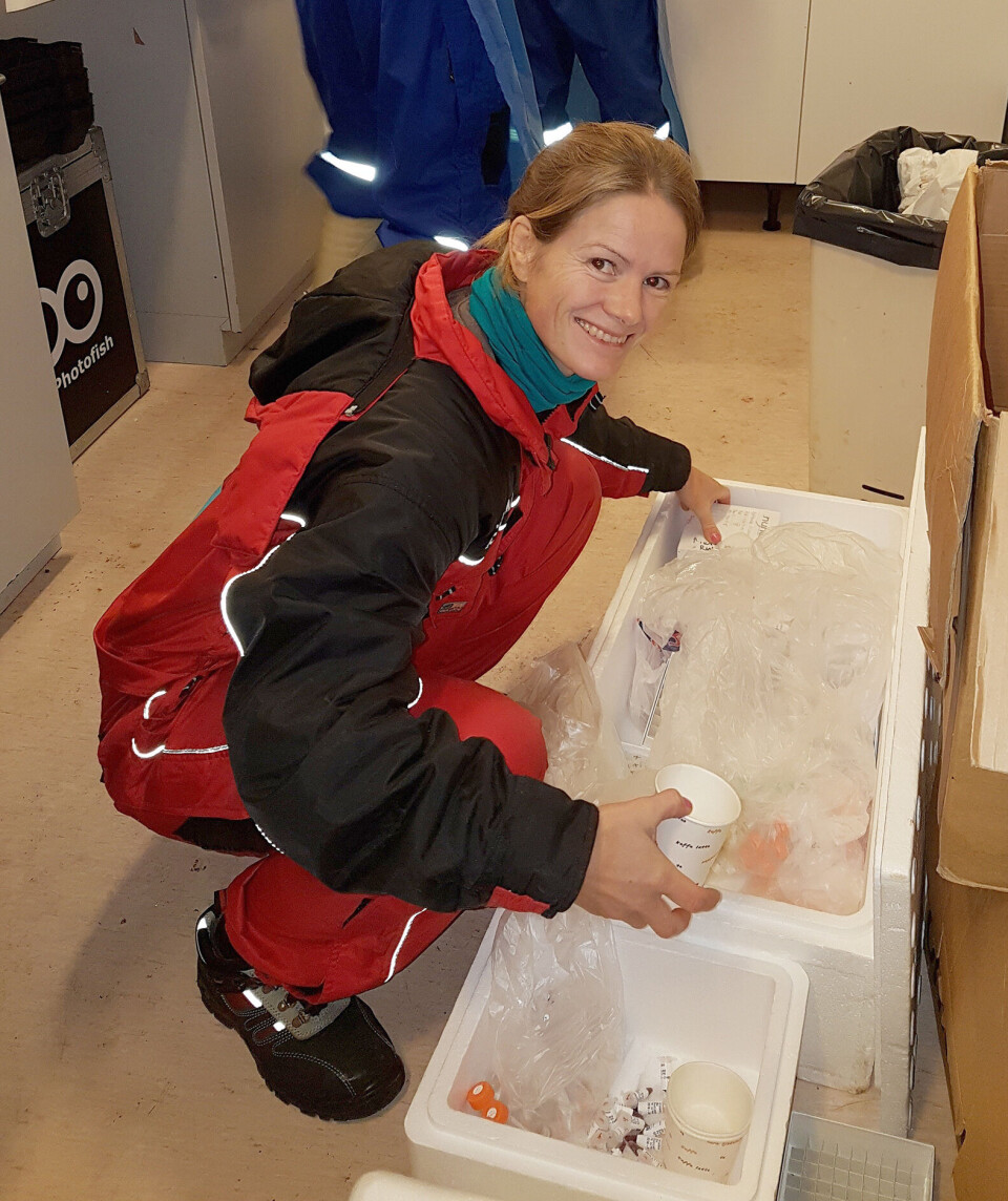 Nini Sissener has researched the interaction between saturated fat and cholesterol in salmon nutrition.