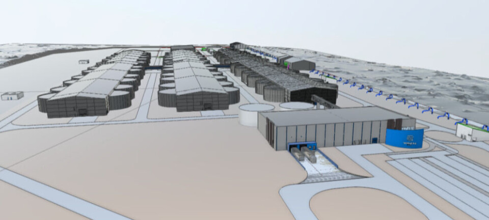 Tech company wins major contract for salmon farm feed system