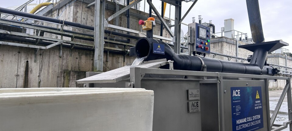Ace Aquatec clinches first Chilean order for in-water smolt culler