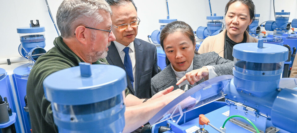 Chinese fish scientists visit Scotland's 'do everything' research facility