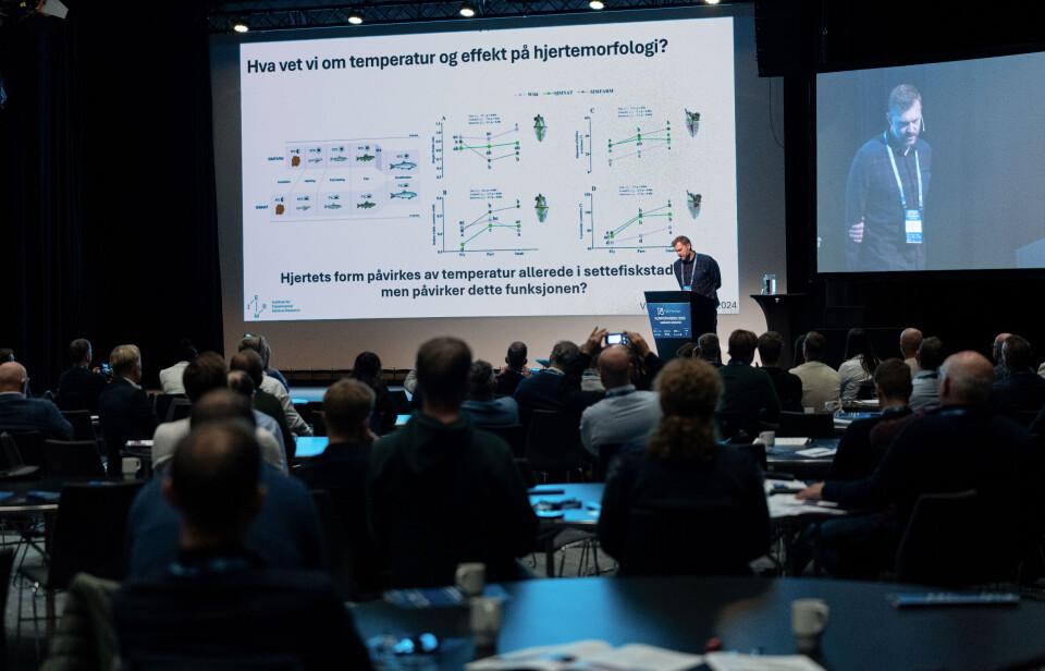 Researcher Michael Frisk during his presentation at the Fish Farmer conference in Sola. He believes that temperature early in life can have a major impact on the heart health of fish.