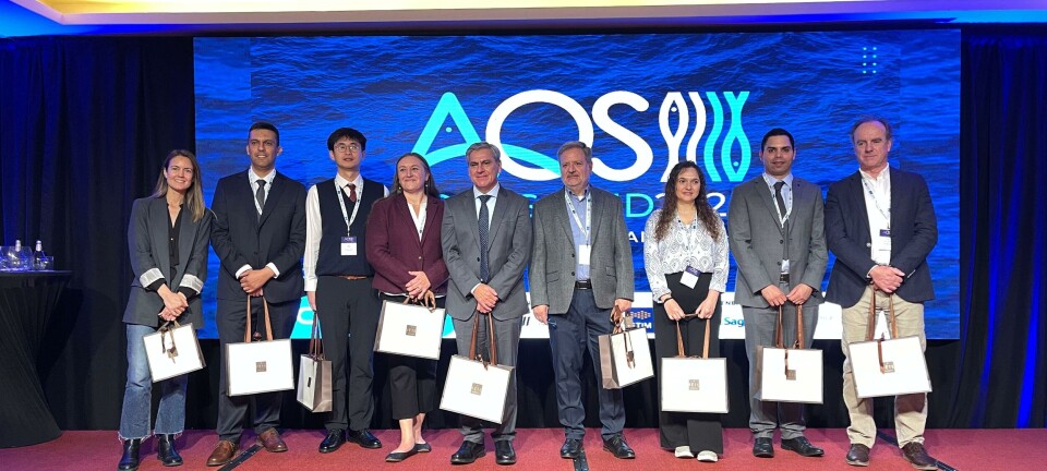 Expertos revelan claves nutricionales para mejorar la salud y el desempe帽o del salm贸n