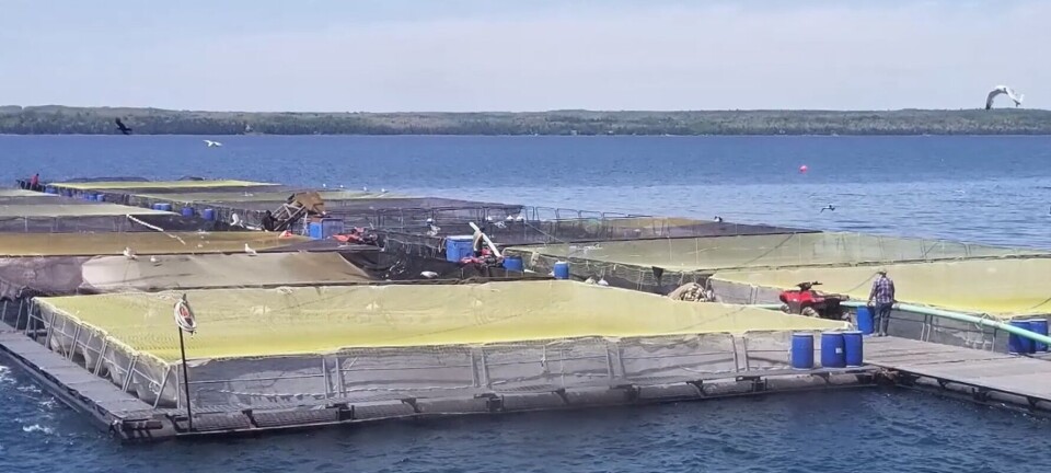 Ontario fish farmers cast their net wider