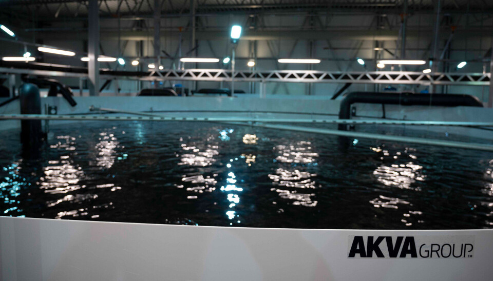 Akva Ras Great Northern Salmon signs RAS supply contract with AKVA Group