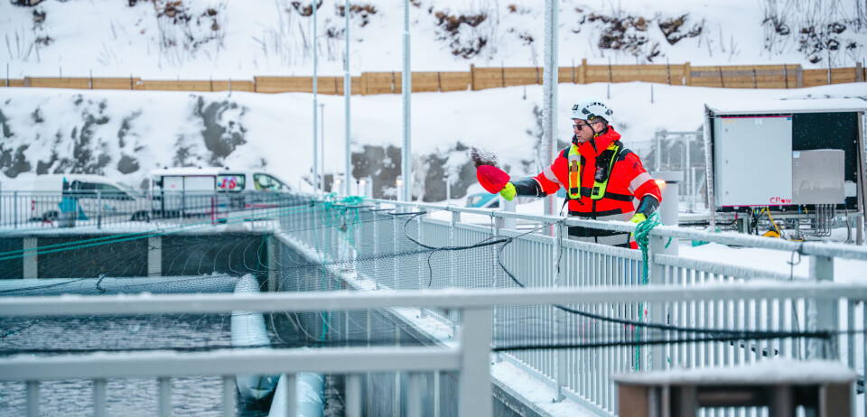 Flow Through Fish Farming Andfjord Salmon stocks third pool at flow-through fish farm