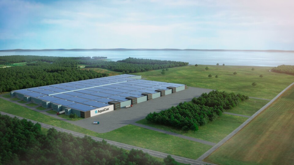 AKVA seals $150m deal to equip US salmon RAS